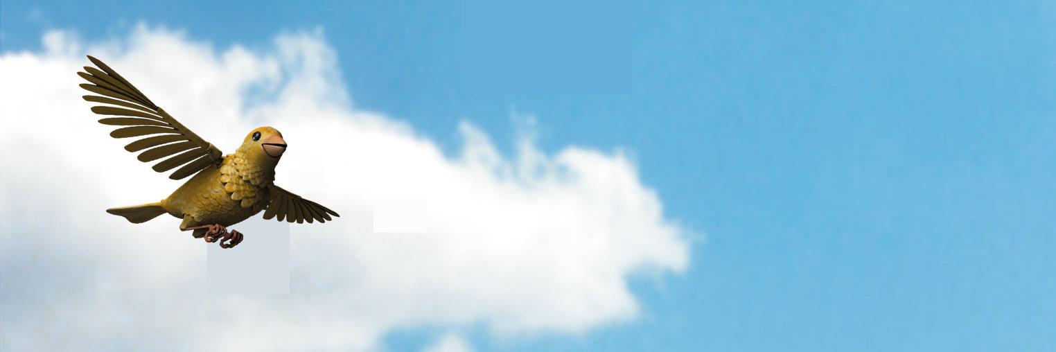 CanaryClassics's profile banner image