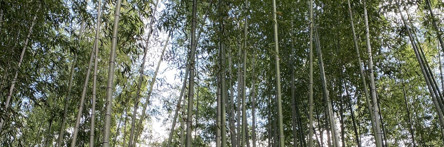 loganwamoss's profile banner image