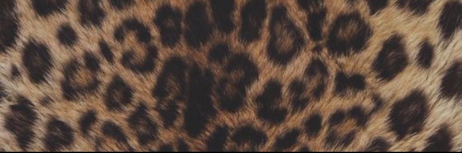 Dominique Divine banner