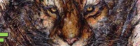 jf_hr63's profile banner image