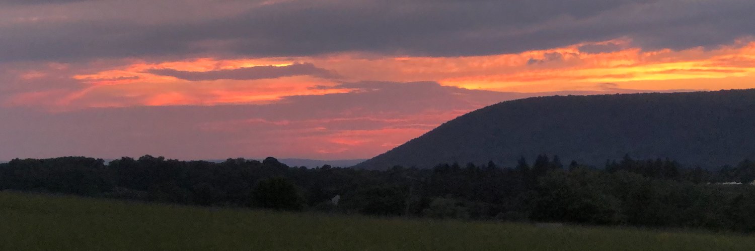 Janet K. Swim banner