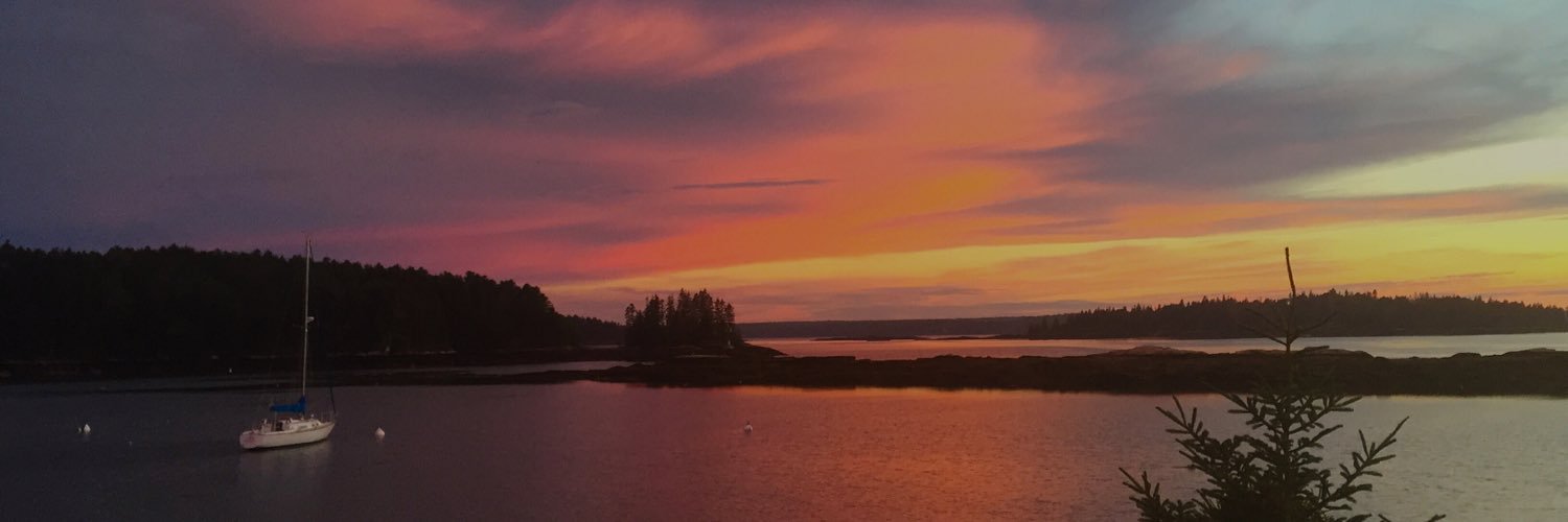saidariddell's profile banner image
