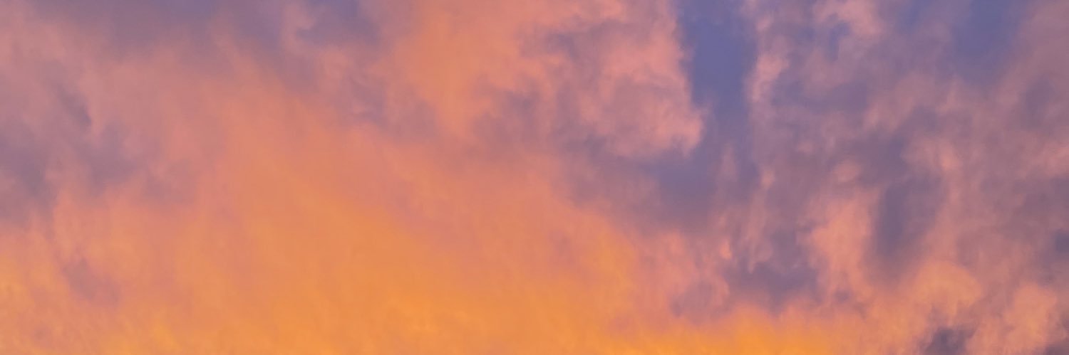 carmentaemin's profile banner image
