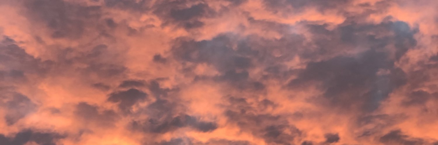 selmasvard's profile banner image