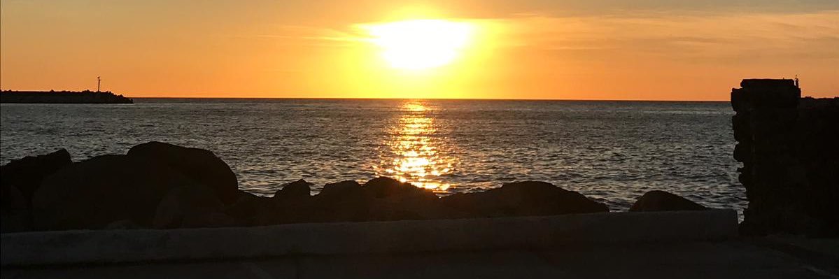 Stuart Skeates banner