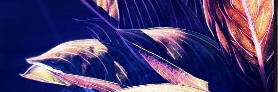 bluerabbit77's profile banner image