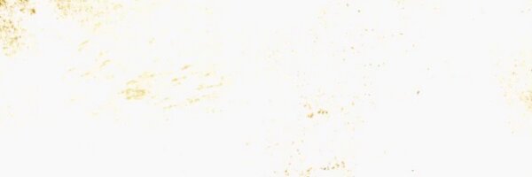 MichaelStigman Profile Banner