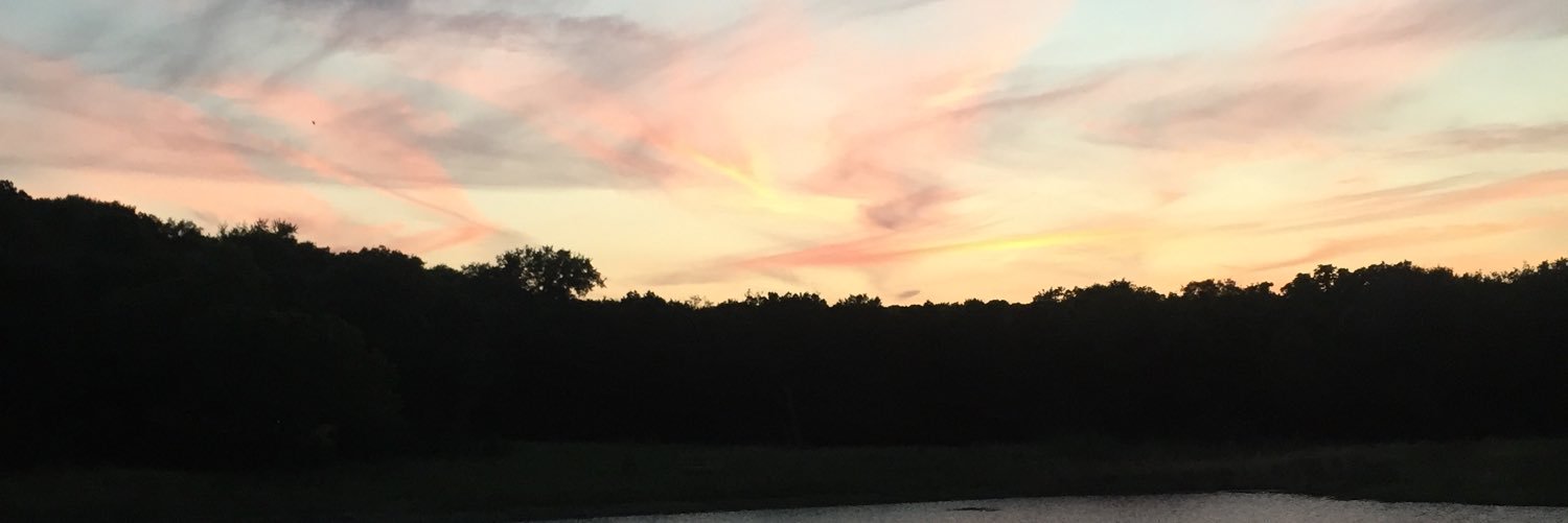 adams_gracey's profile banner image