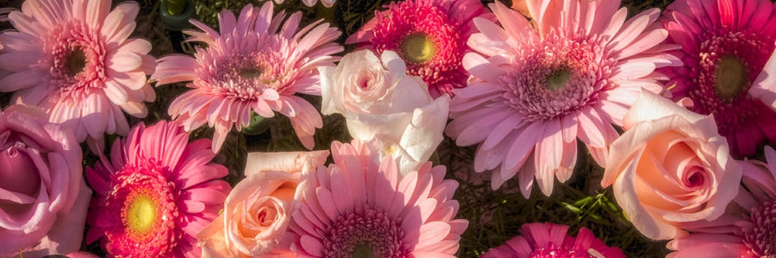 _sheBeautiful's profile banner image