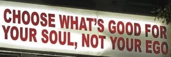 phoenix 🐦‍🔥. banner