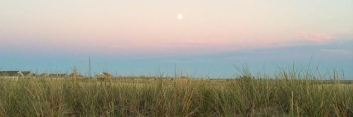madz8's profile banner image