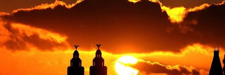 MusicBrowne's profile banner image