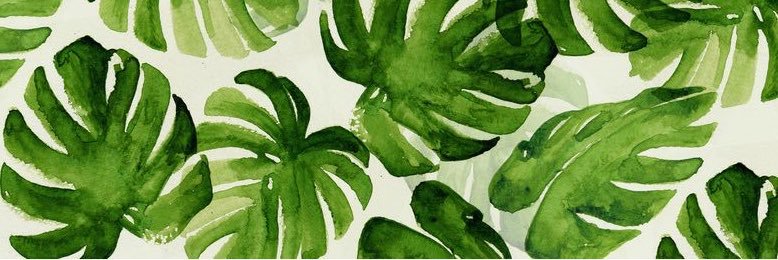 AnddresRocha's profile banner image