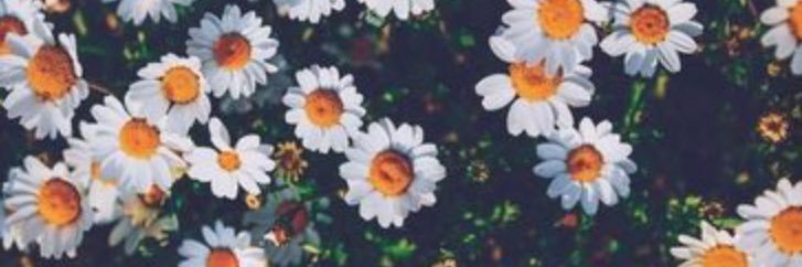 Chiari Ruben banner