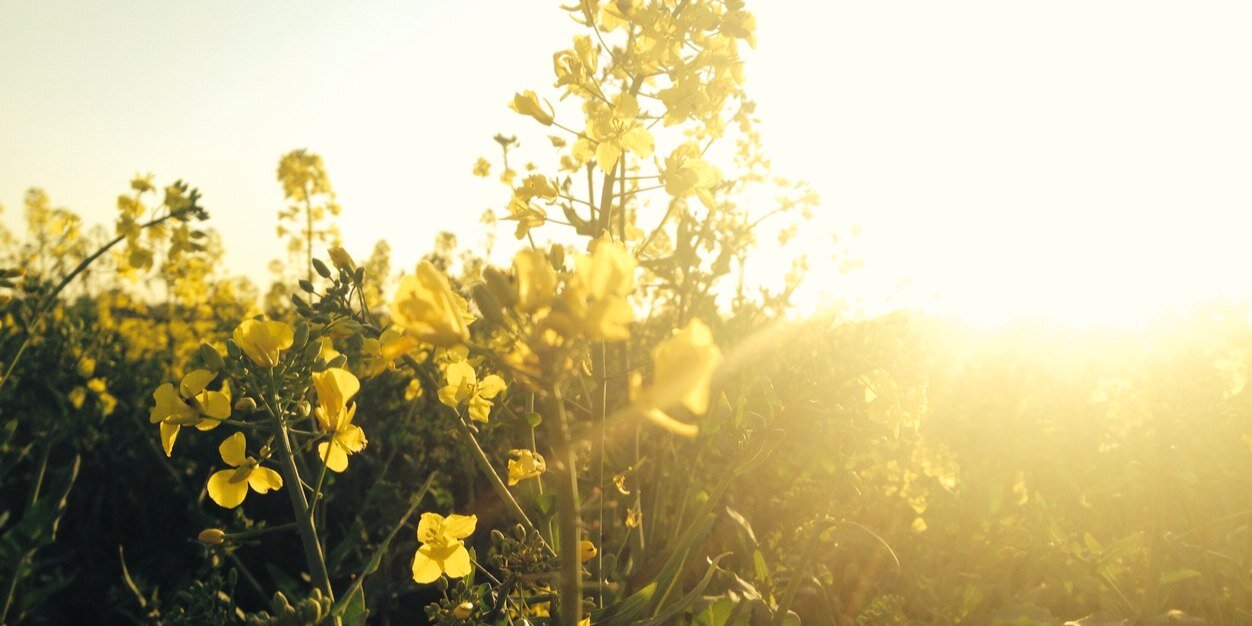 Eilybily's profile banner image