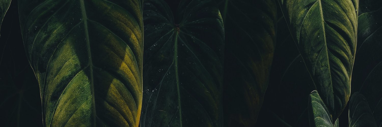 mrcomusic's profile banner image