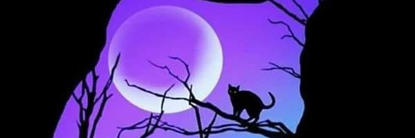 CosmicCharlie97 banner