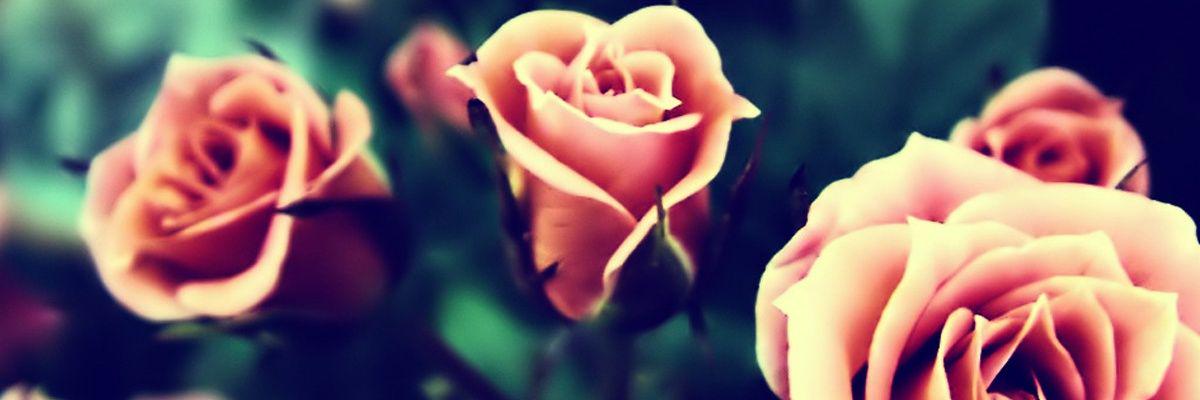 Rebeccar91's profile banner image