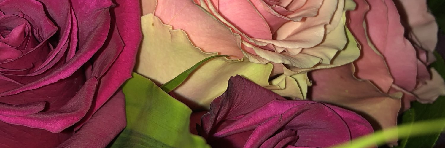 CindyWalters's profile banner image