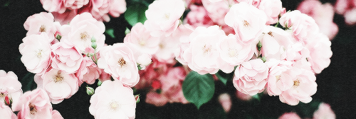 rabs918's profile banner image