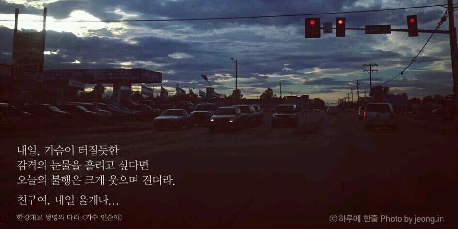 김찬용 banner