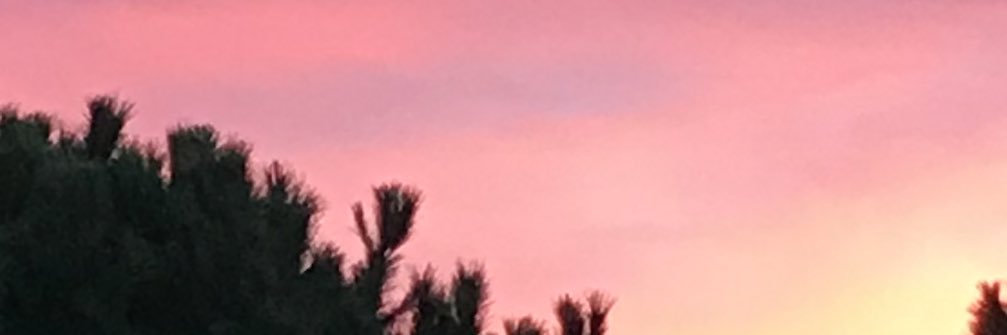 ninabarroca's profile banner image