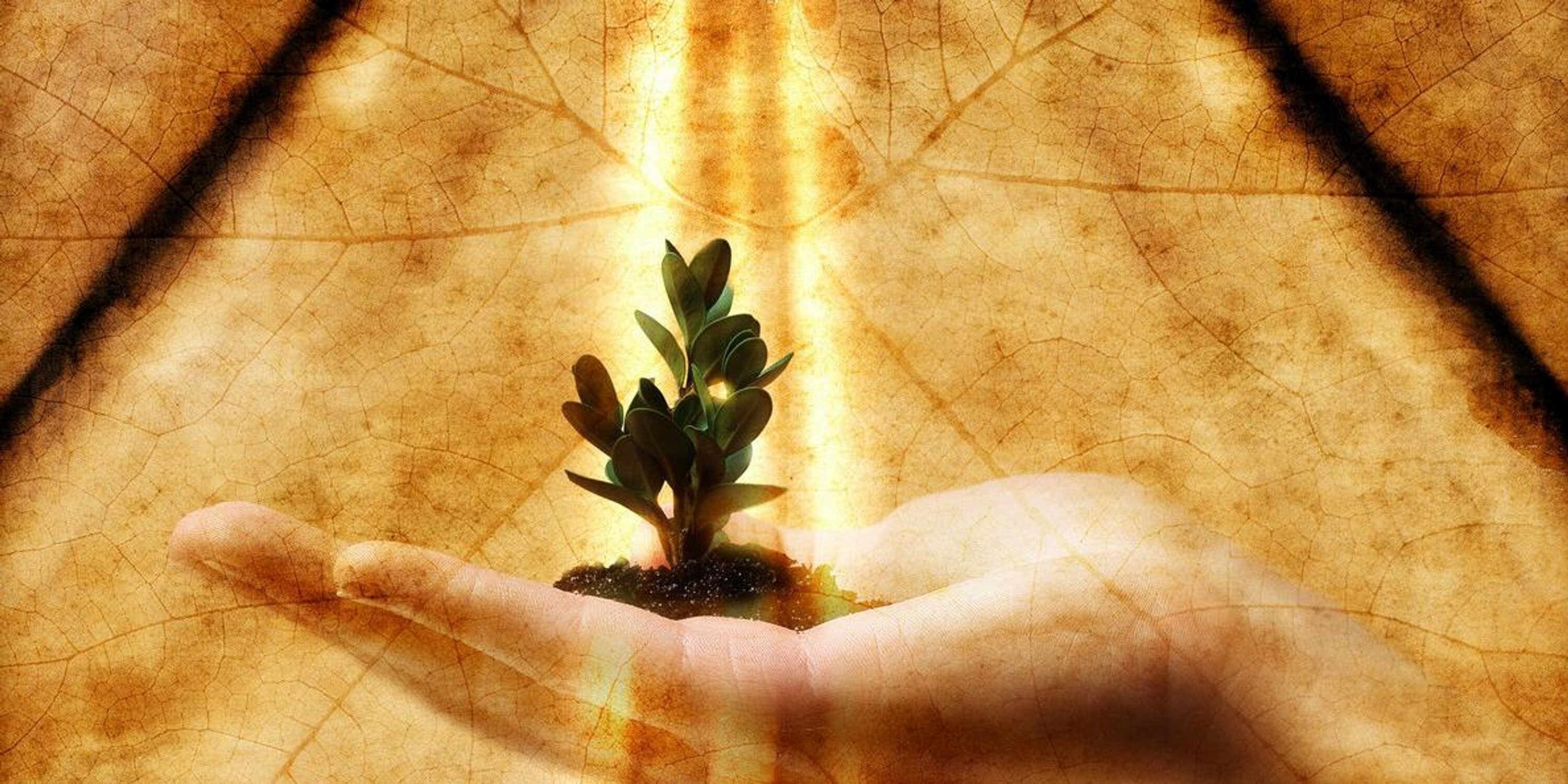 A3_Self_Development banner