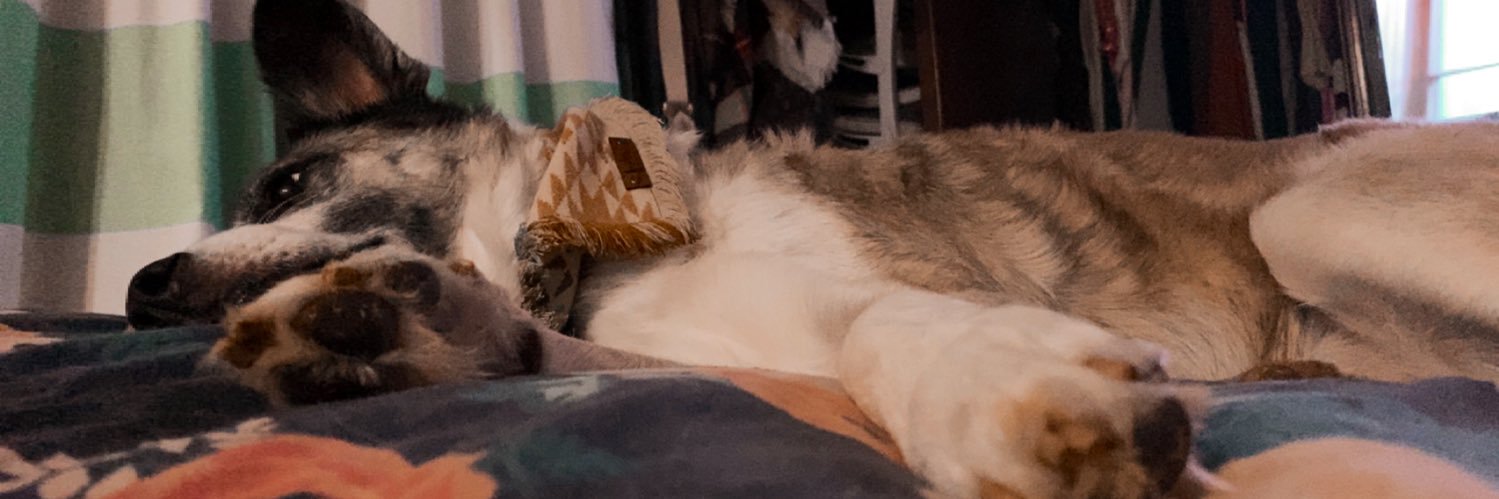 katyyykins's profile banner image