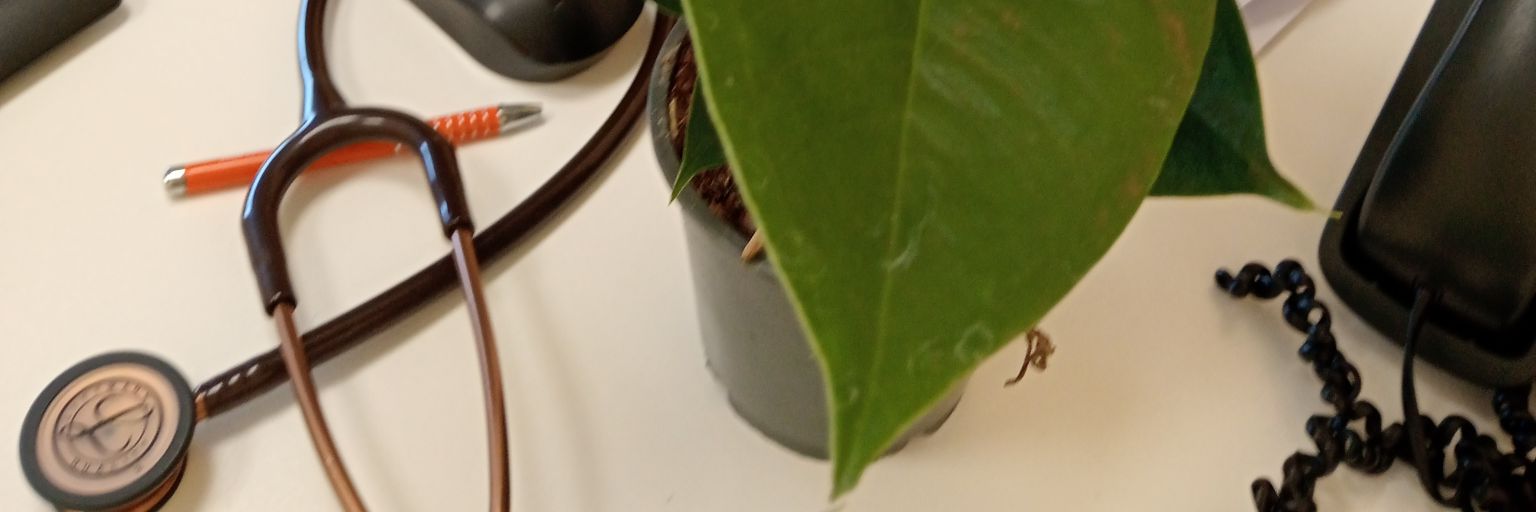 caroldjcm's profile banner image