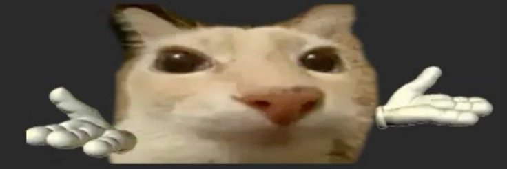 giuli_sciabba's profile banner image