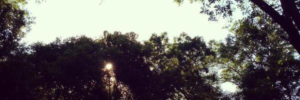 vssffc's profile banner image