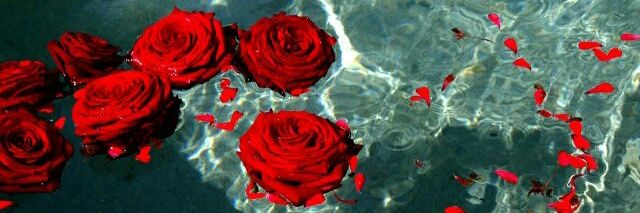 xZarryStylesx's profile banner image