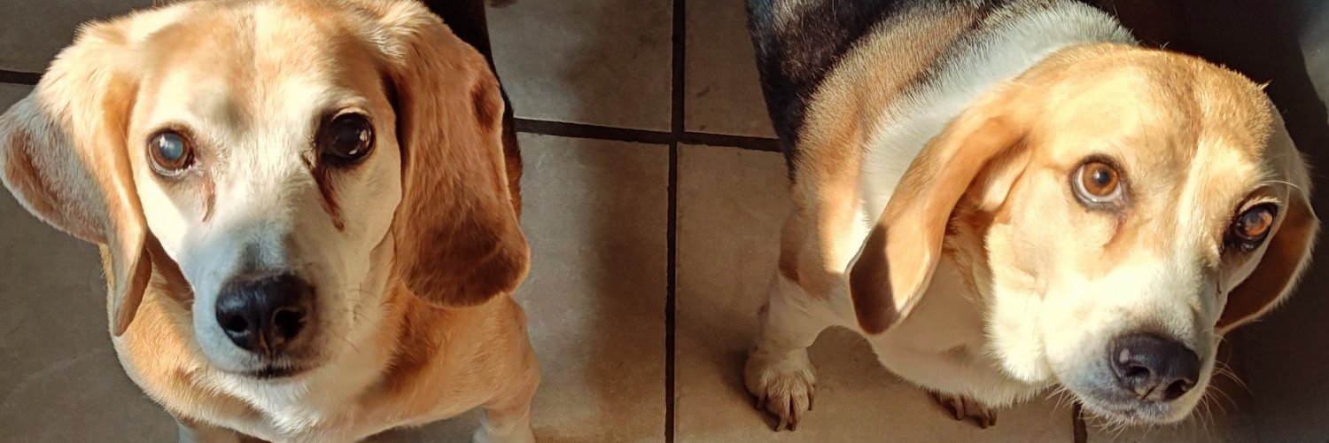 Ferguson y Jasper banner