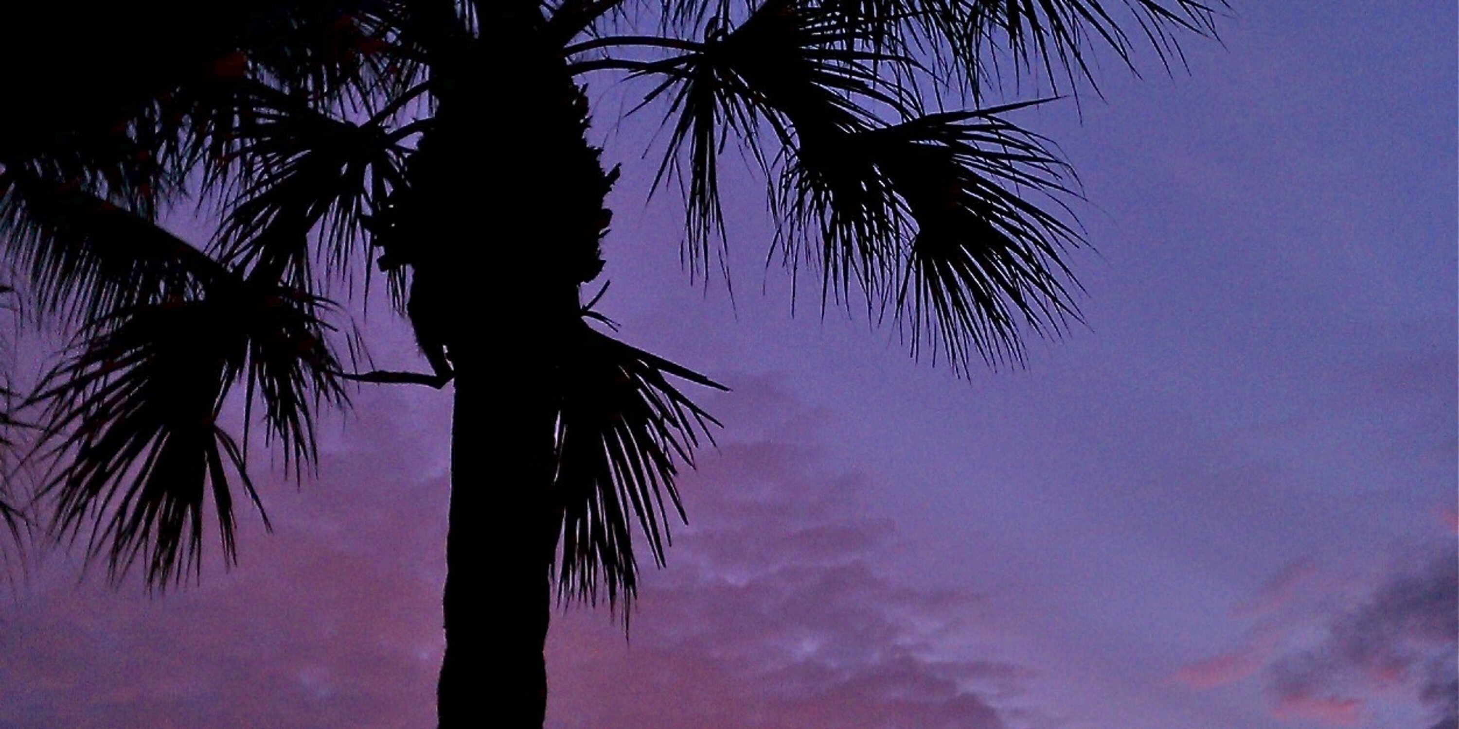 UniqueNaplesFL's profile banner image