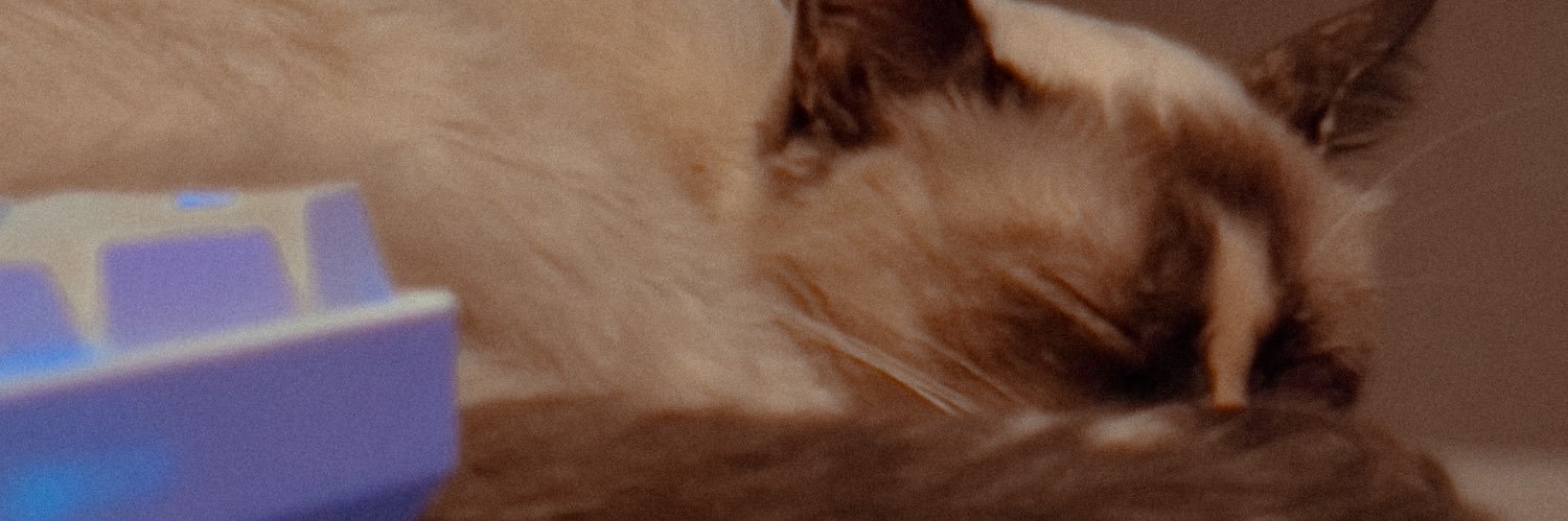 alexdlli's profile banner image