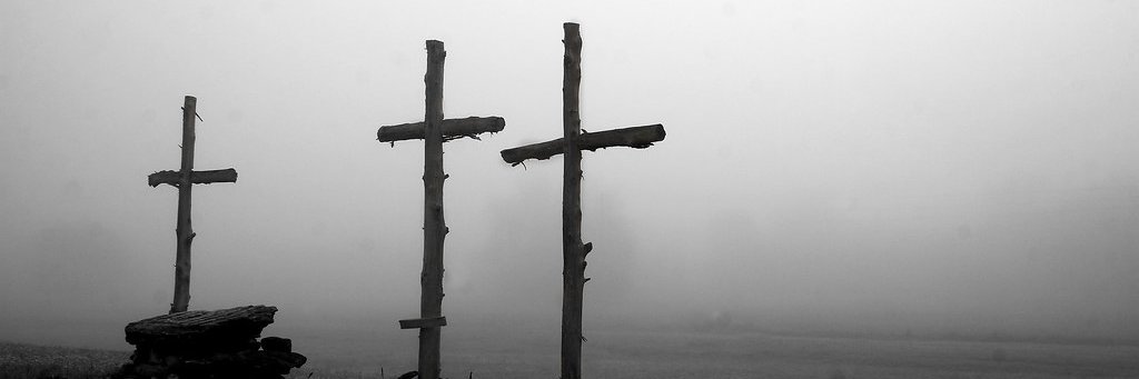dtorev's profile banner image