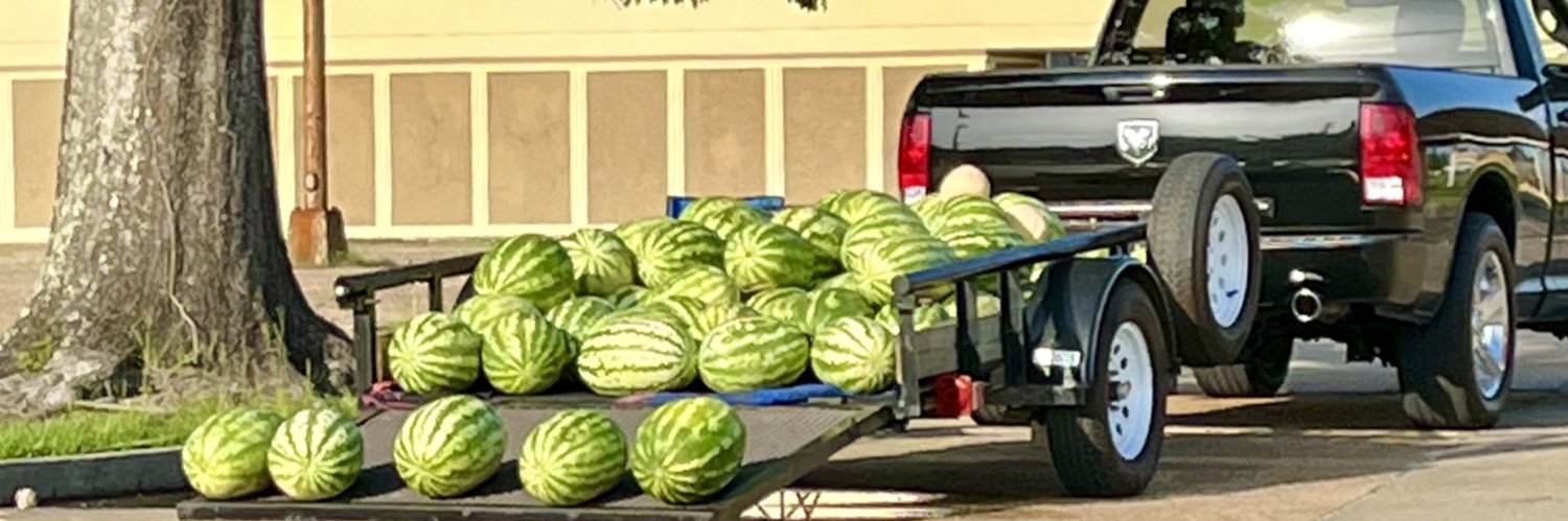 Haydel Consulting banner