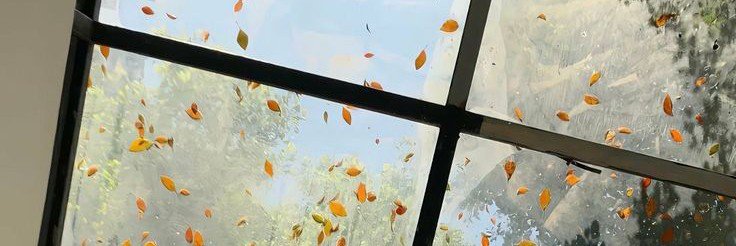 ggemyni's profile banner image
