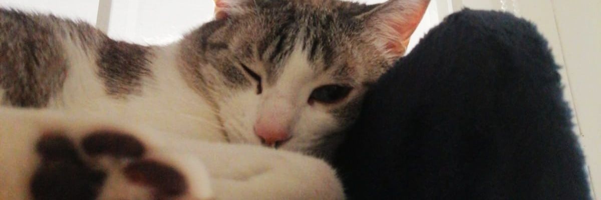 jnml_x's profile banner image