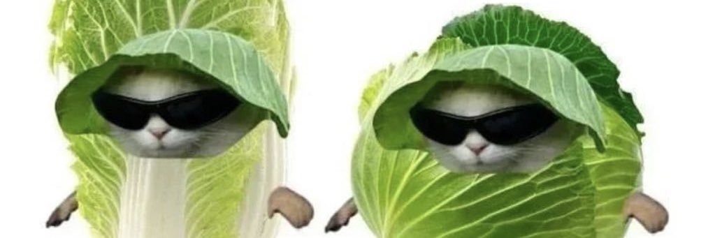 MarijoseeeSilva's profile banner image
