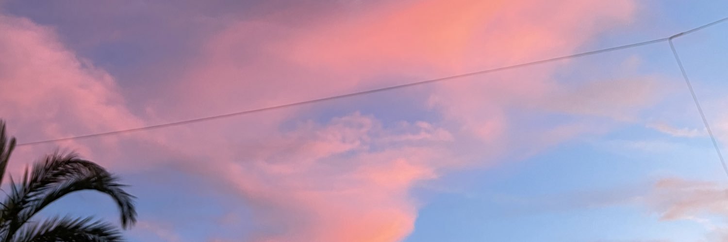 saracaro10's profile banner image