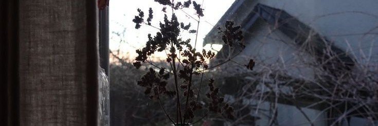 __summerpond's profile banner image