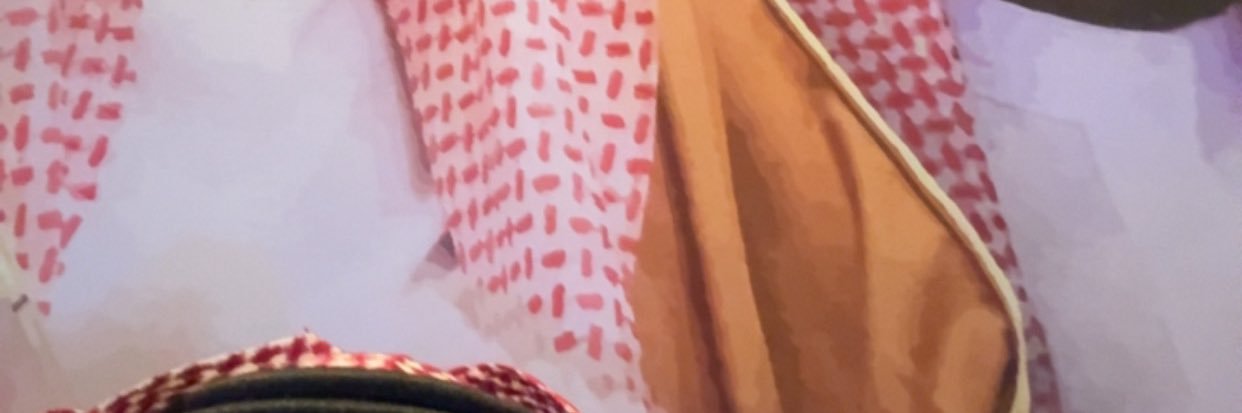 BmZhranii's profile banner image
