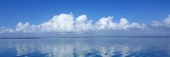 sdbraz's profile banner image
