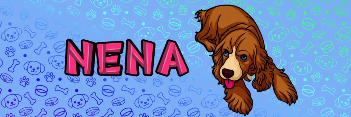 Bijan banner