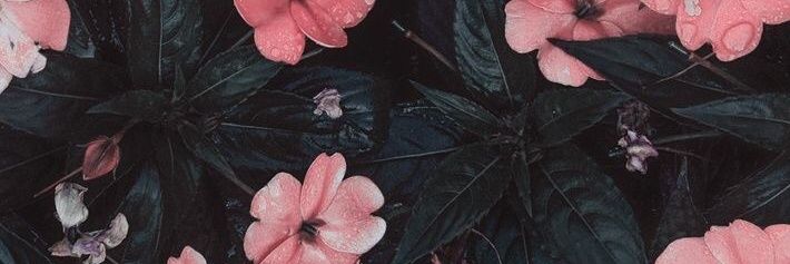 adejpscarlet's profile banner image