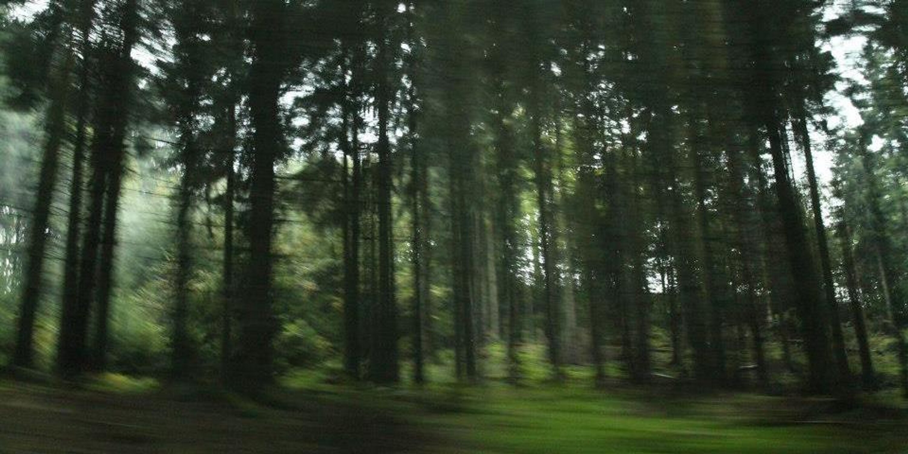 jodoenier's profile banner image
