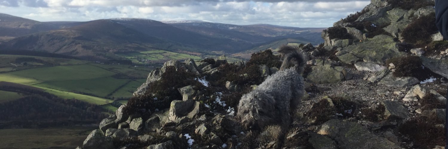 Dr. Stephanie O'Keeffe 🇺🇦 banner