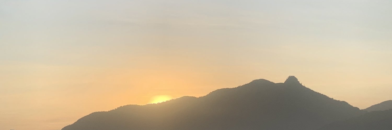 dessafofann's profile banner image