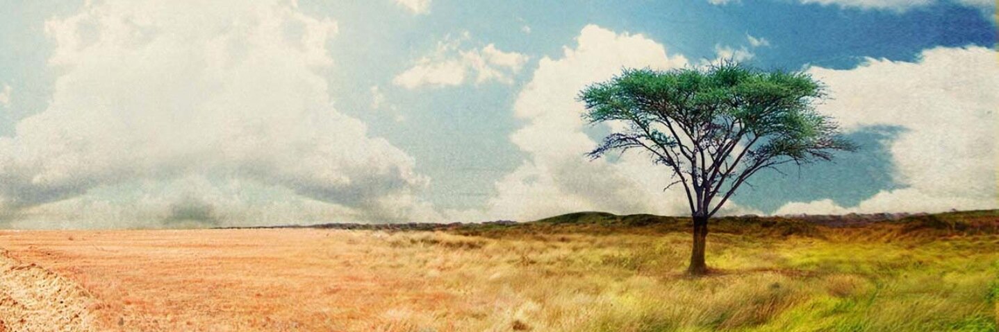 Dan Schaumann banner